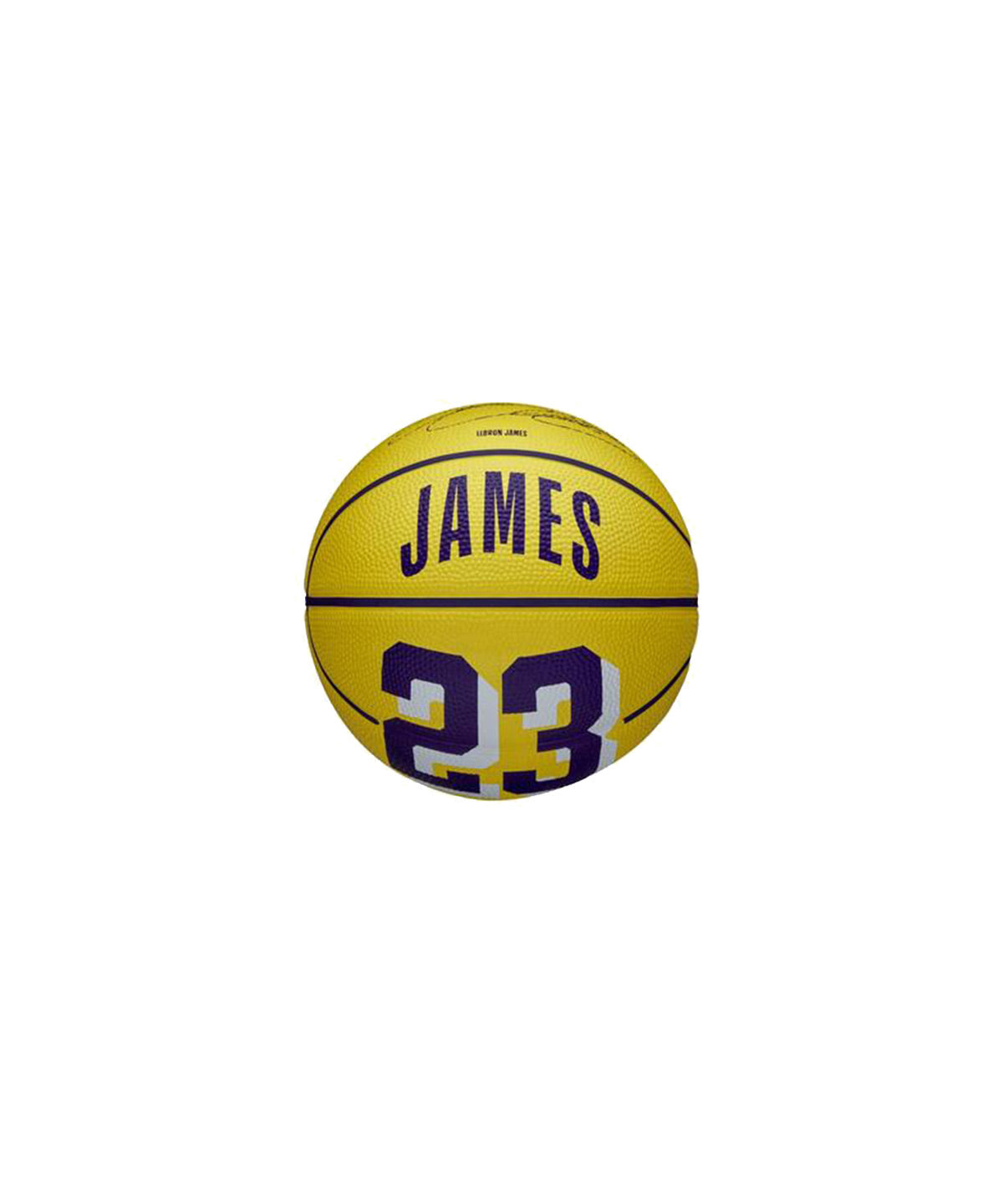 NBA Icon Mini: Lebron James